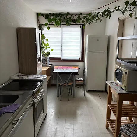 - Agreable - Proche La Petite France * 斯特拉斯堡
